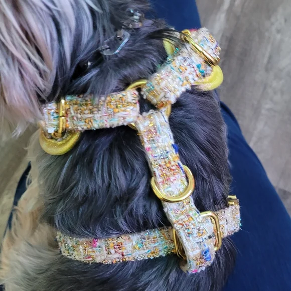 Maggie & Co Limited Edition Icon Collection Harness
